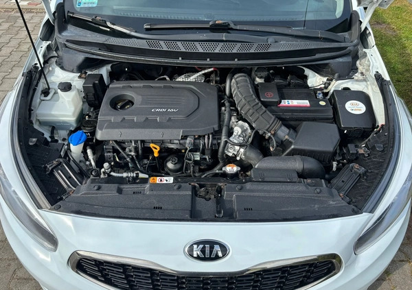 Kia Ceed cena 31999 przebieg: 205000, rok produkcji 2016 z Kielce małe 211